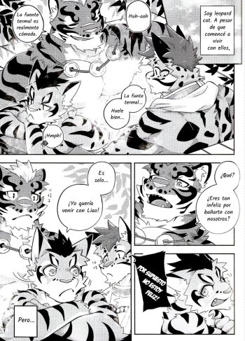 (FF31) [KUMAK.COM (KUMAK)] Nekonoyu (Nekojishi)