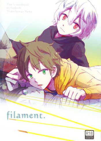 (HaruCC20) [polylon (polylonQ)] filament. (World Trigger)