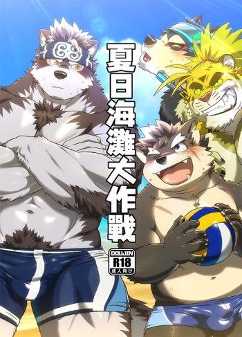 [WILD STYLE (ROSS)] Natsu no Beach Daisakusen | Summer Beach Battle (Tokyo Afterschool Summoners)