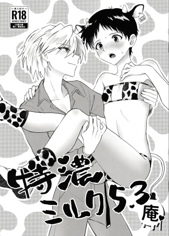 [MetalBirds (ShiN)] Nagisa wa Shinji o Wakarasetai! (Neon Genesis Evangelion)