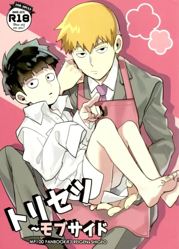[SUPERNOVA.7 (Mohi)] Torisetsu ~ Mob Side (Mob Psycho 100)